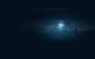 Gothic tree night light bird - the dark night free wallpaper