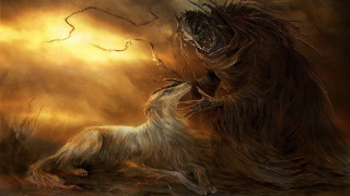 Dogs fighting field tree fantasy - a yellow sky free wallpaper