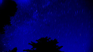 Tree starry sky blue night - a street light free wallpaper