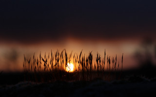 Sunset dark sky grass person - sunrise free wallpaper