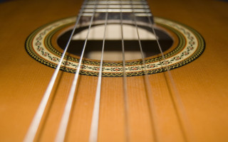 Guitar strings closeup black white 2 - baroque free wallpaper
