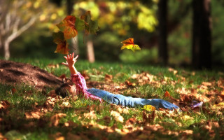 Child tree autumn park blurry - fallen free wallpaper