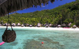Beach palm trees pink ball - roof free wallpaper for desktop