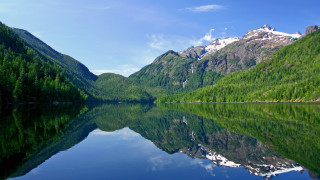Mountain reflection lake forest horizon - a still lake free wallpaper