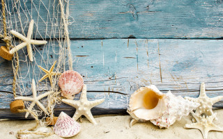Sea shells beach net wooden - a net free wallpaper