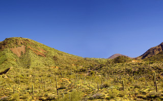 Mountain trees bushes cityscape sky - a few bush free wallpaper