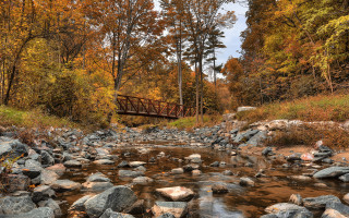 Small bridge stream forest autumn - the background and a stream free wallpaper