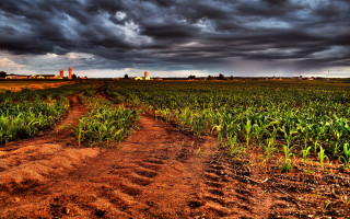Dirt road storm clouds cityscape 2 - a dirt road in a field free wallpaper