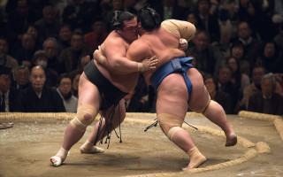 Sumo wrestlers crowd blue suit - the background and a man free wallpaper