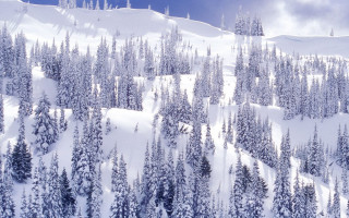 Snow mountain trees blue sky 2 - the distance free wallpaper for desktop