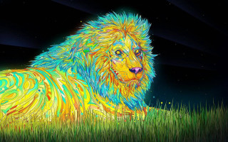 Colorful lion night stars psychedelic - psychedelic free wallpaper for desktop