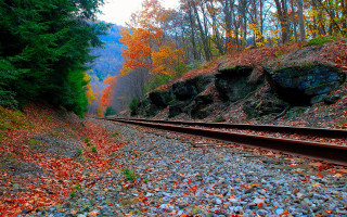 Train track autumn forest hill - a train track free wallpaper
