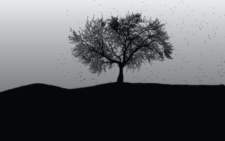 Tree birds hill ink painting - david firth free wallpaper