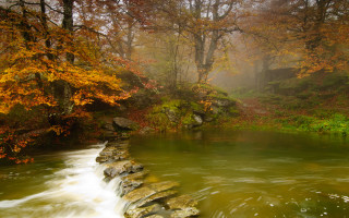 River forest rocks stonewall autumn - arthur b. carles free wallpaper for desktop