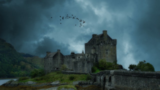 Castle birds cloudy gothic matte - a flock of birds free wallpaper