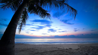 Palm beach sunset clouds ocean 2 - a palm tree free wallpaper for desktop