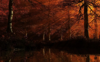 Forest lake autumn leaves night - a lake in the foreground and trees free wallpaper