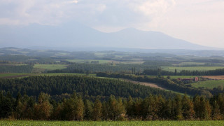 Lush green countryside house mountains - free forest wallpaper