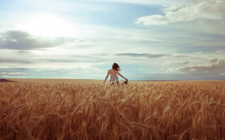 Woman wheat field dog sky - cloud and sun free wallpaper for desktop