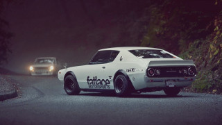 White car night road forest - headlight free wallpaper