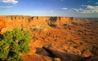 Canyon tree clouds sunset autumn - a view of a canyon free wallpaper