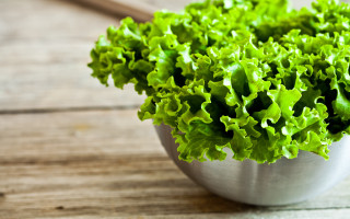 Plant metal bowl wooden table - a wooden table free wallpaper