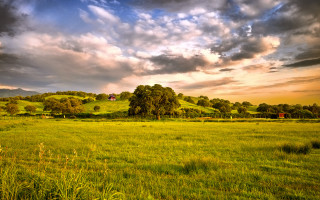 Cloudy sky field trees horizon - cloud and trees free wallpaper
