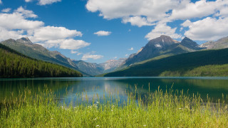Lake mountains grass clouds flowers - mountain and grass free wallpaper