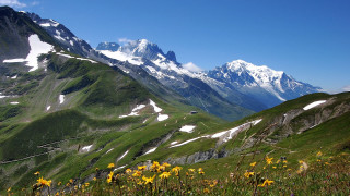 Mountain range snow capped wildflowers - bernard meninsky free wallpaper for desktop