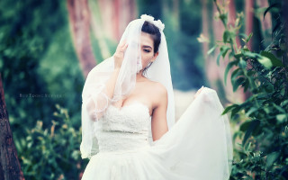 Bride wedding dress veil smile - a woman in a wedding dress holding free wallpaper