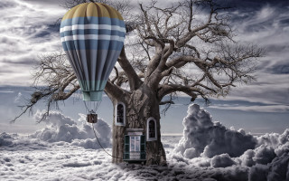 Hot air balloon over tree - a hot air balloon free wallpaper