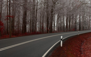Forest road sign blood branch - smooth gradient free wallpaper for desktop