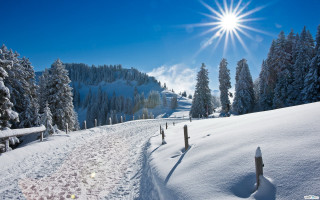 Snow mountain sun trees trail - mountain free wallpaper