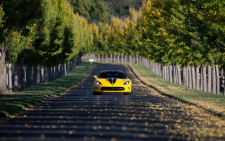 Yellow sports car road trees 2 - a row of trees free wallpaper