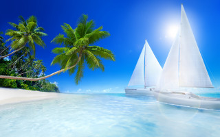Sailboat boat tropical beach palm - a tropical beach free wallpaper