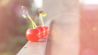 Cherries bench sunlight blur photorealism - the sun light free wallpaper