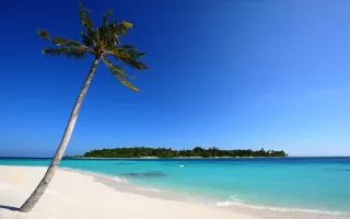 Palm tree beach blue sky 11 - blue free wallpaper for desktop