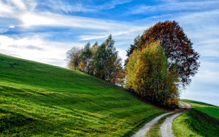 Dirt road hill tree blue - a dirt road free wallpaper
