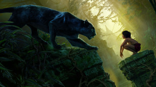Woman kneeling black cat forest - rossdraw global illumination free wallpaper