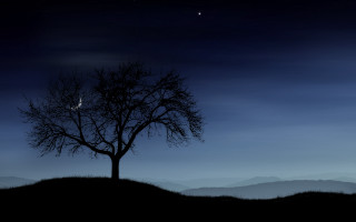 Tree hill star mountain night - a hill free wallpaper
