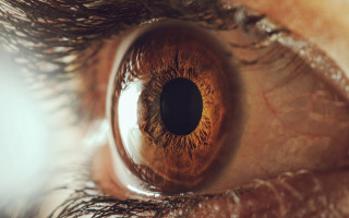 Eye brown iris macro reflection - a close up of a persons eye free wallpaper