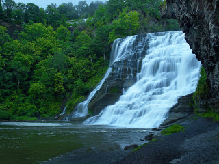 Waterfall river forest trees tilt - tree and a forest free wallpaper