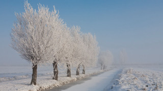 Snowy path trees winter sky - a snowy path free wallpaper