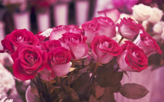 Pink roses vase piano background - a piano keyboard free wallpaper