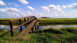 Wooden bridge river field flowers - movement free wallpaper