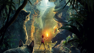 Jungle book woman animals man - the jungle free wallpaper
