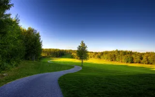 Winding road green field trees - blue free wallpaper