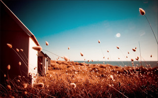 Small house grass field ocean - a small house free wallpaper