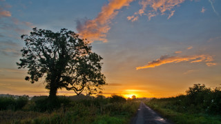 Tree road sunset clouds horizon - a tree in the foreground free wallpaper for desktop