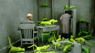 Surreal man green cats desk - the floor of a room free wallpaper
